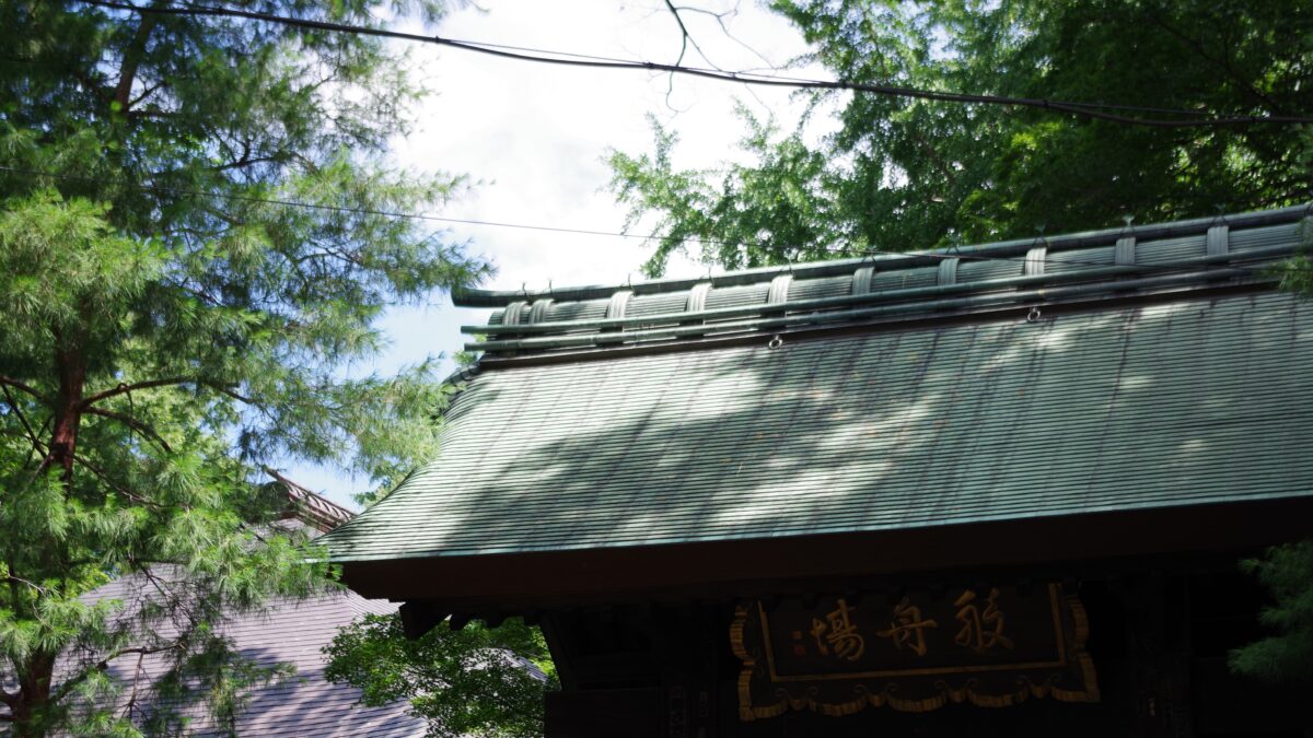 九品仏浄真寺の総門。歴史を感じる佇い。